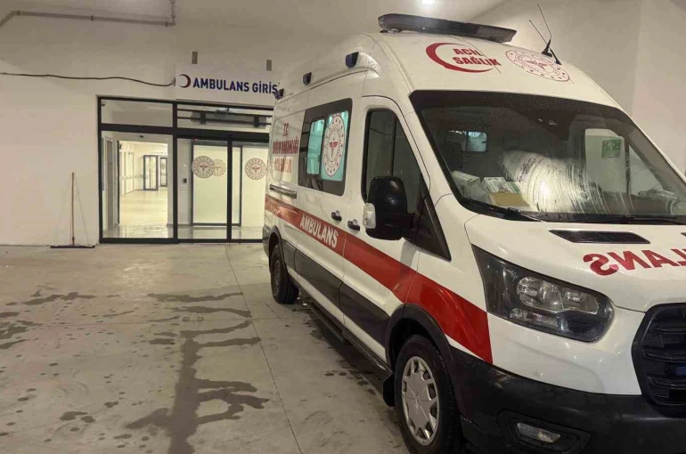 İncir ağacından düştü, ağır yaralandı