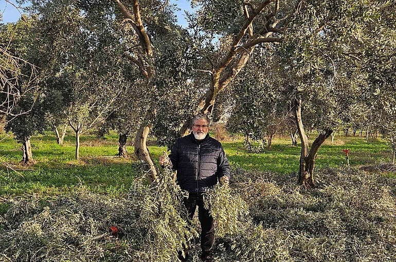 İncir ve Zeytin Bilimsel Araştırmalar Akademisi’nden yeni proje 