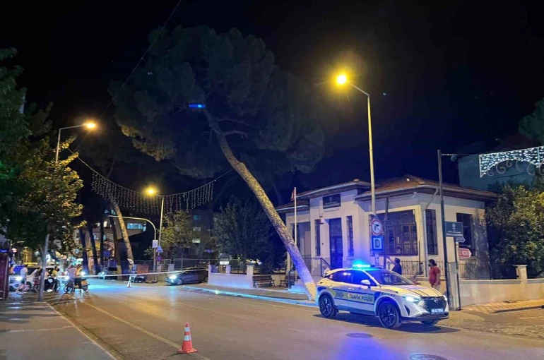 İncirliova’da çam ağacı kuvvetli rüzgara dayanamadı 