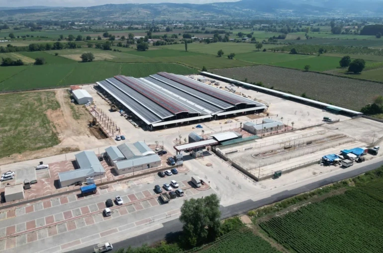 İnegöl Belediyesi hayvan pazarının kotra ihale tarihi belli oldu 