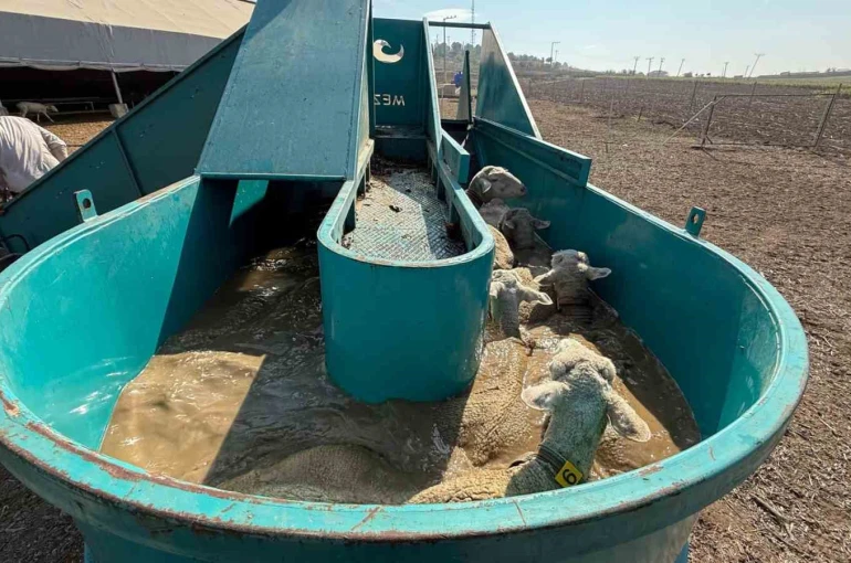 İnegöl Belediyesi’nden tarıma ve üreticiye tam destek