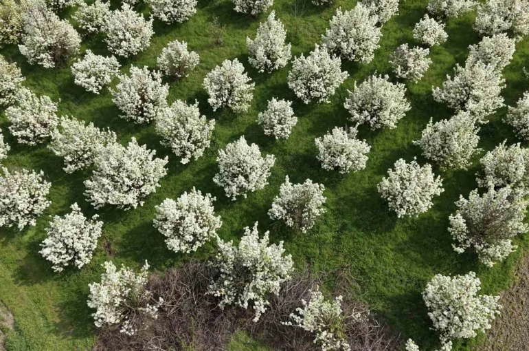 İnegöl’de kartpostallık görüntüler 