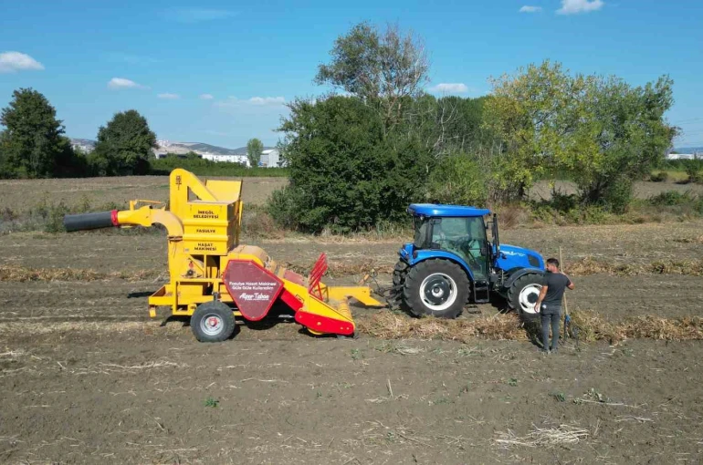 İnegöl’ün cerrah kuru fasulyesinde hasat zamanı 