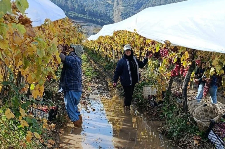 İşçiler yağmur ve çamuru aldırış etmeden üretime devam ediyor 