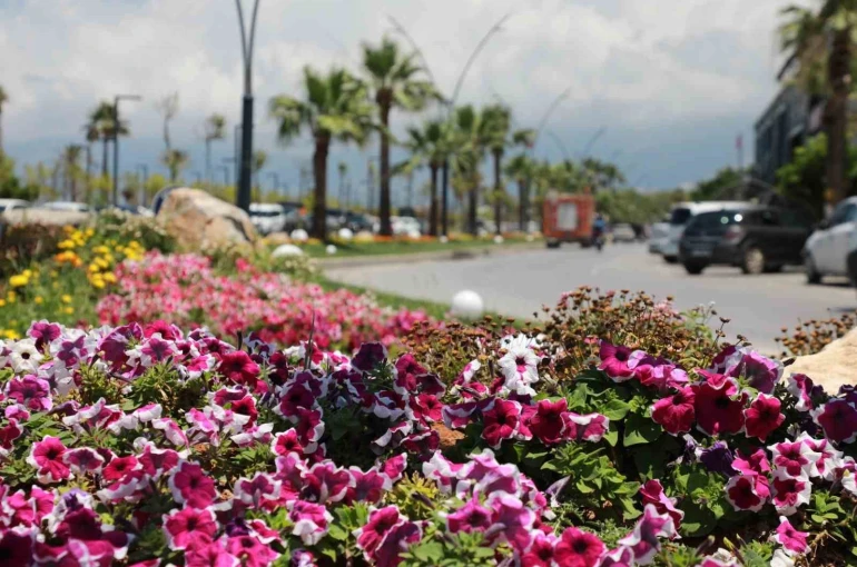 İskenderun sahili renkli çiçeklerle süslendi. 