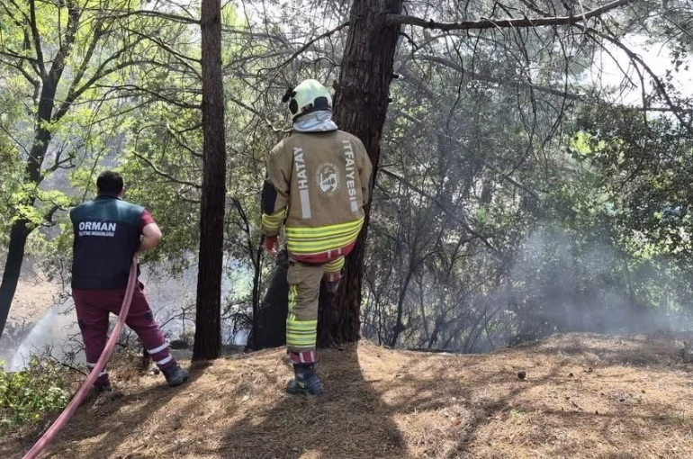 İskenderun’da orman yangını kontrol altına alındı 
