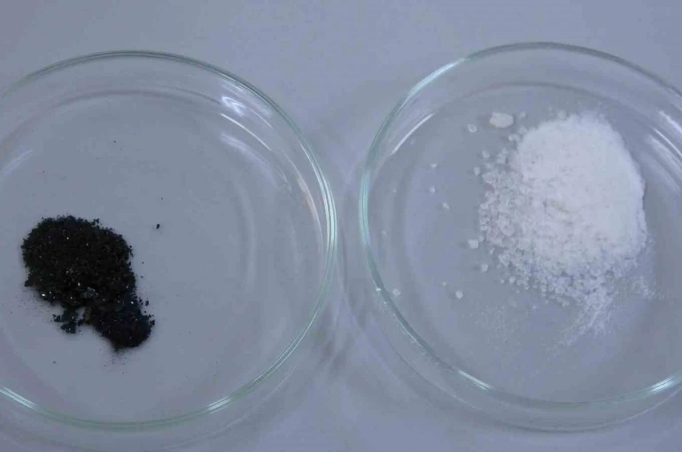 Isparta’da endemik bitkiden doğaya zarar vermeden kanserle mücadeleye umut olacak üretim modeli geliştiriliyor