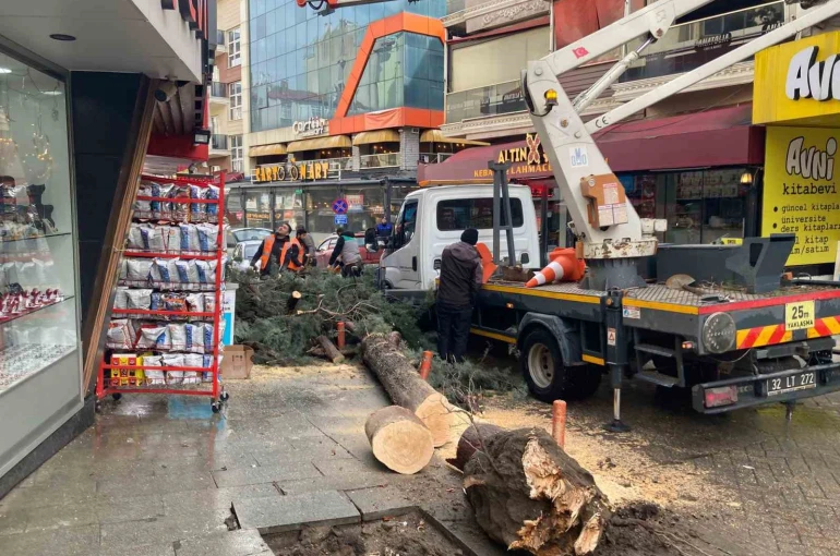 Isparta’da fırtına ağacı kökünden söktü 