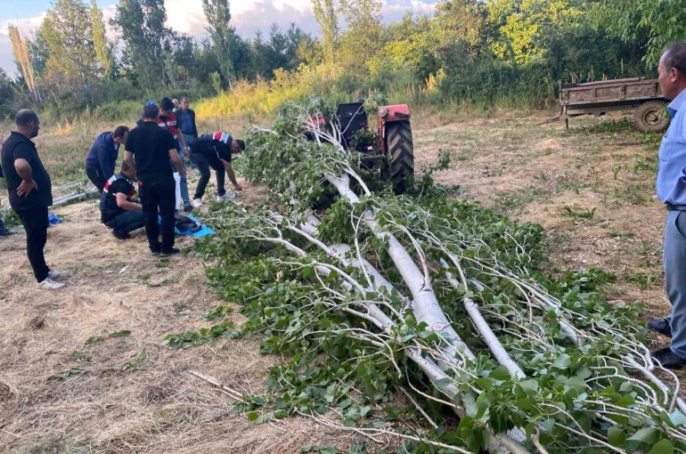 Isparta’da kestiği ağacın altında kalan adam hayatını kaybetti
