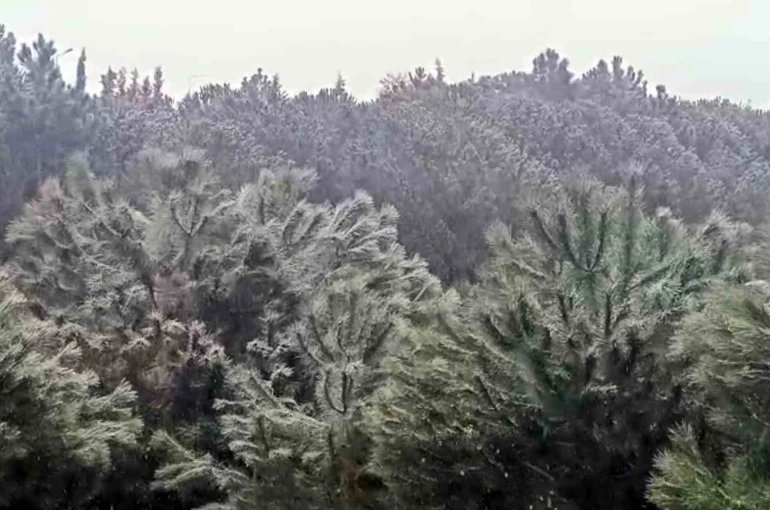 İstanbul’da yüksek kesimlerde kar yağışı başladı