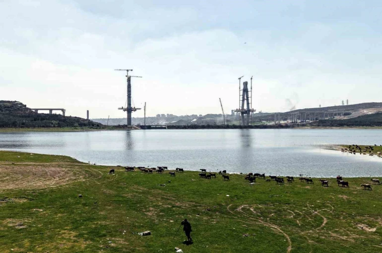 İstanbul’un yeni yüzü; köprü yükselirken keçiler merada 