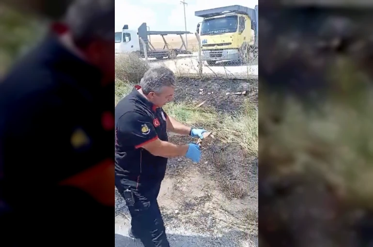 İtfaiye ekipleri yangından kurtardıkları kaplumbağayı suyla serinletti