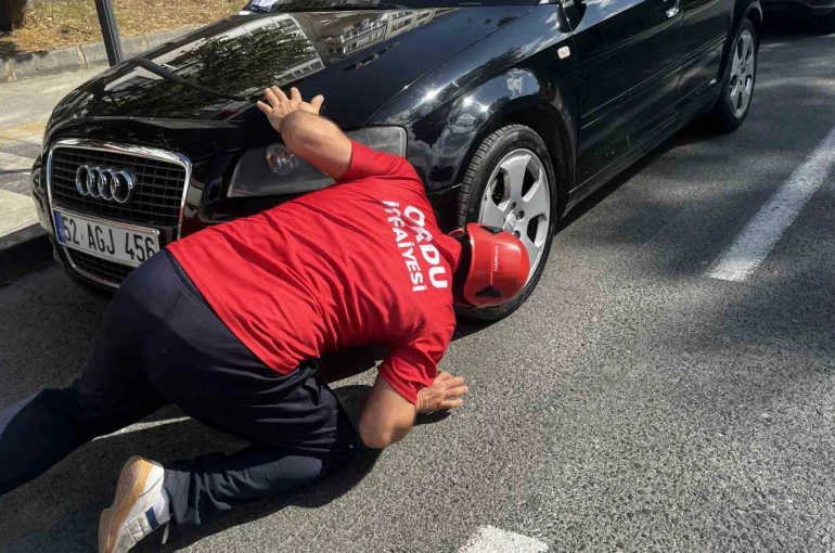 İtfaiyeden kedi kurtarma operasyonu