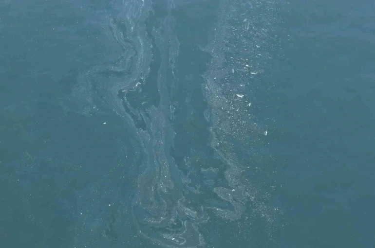 İzmir Körfezi’nde yine kirlilik tespit edildi 