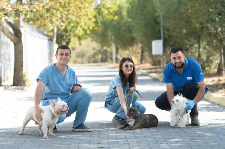 İzmir’de el konulan 20 cins köpek Işıkkent Köpek Bakımevi’nde