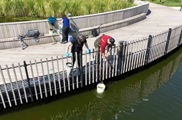 İzmit Millet Bahçesi göletinde bilimsel iyileştirme çalışması başladı