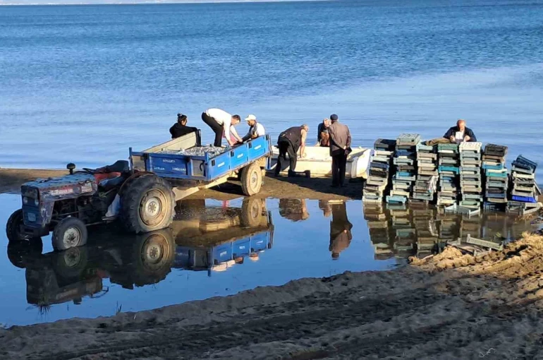 İznik Gölü’nde bereketli sezon...Gümüş balığında yüzler gülüyor 