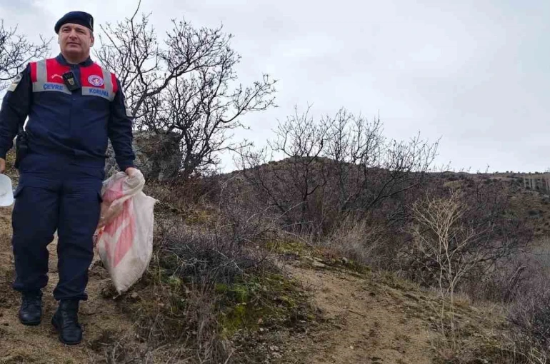 Jandarma ekipleri doğadaki canlıları unutmadı 