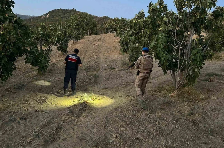 Jandarma incir hırsızlarına geçit vermiyor 