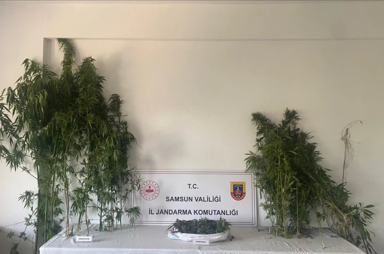 Jandarmadan iki ayrı uyuşturucu operasyonu: 3 gözaltı