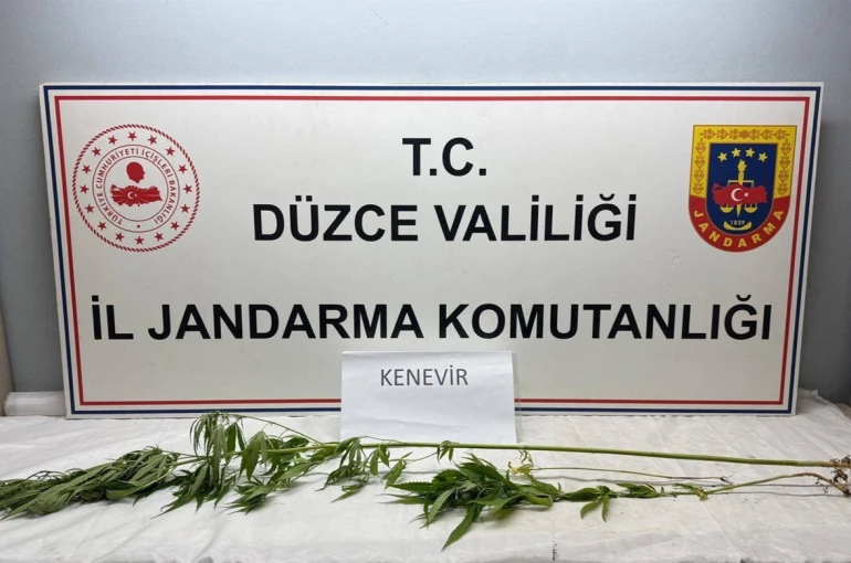 Jandarma’dan uyuşturucu operasyonu 