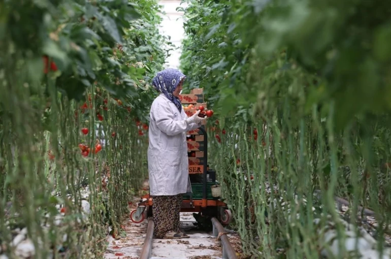 Jeotermal, 2025’te yatırım uykusundan uyandı 