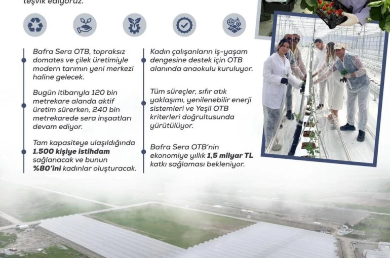 Kadın eliyle yeşeren tarım: Bafra Sera OTB, yıllık 1,5 milyar liralık katkı sunacak 
