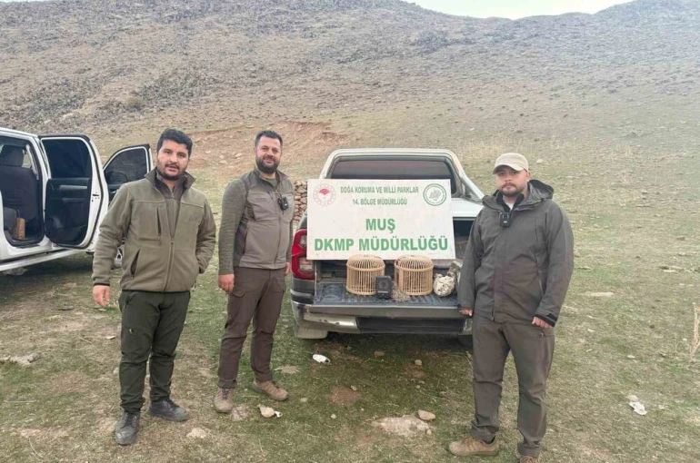Kafes avcılığı yapan şahıs suçüstü yakalandı: 20 bin TL ceza 