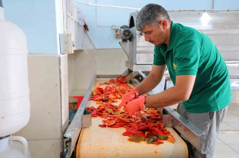 Kahramanmaraş’ta biber salçası mesaisi başladı