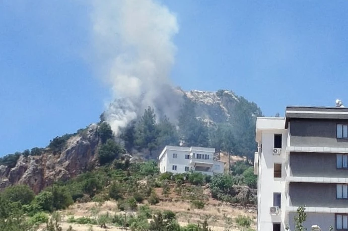 Kahramanmaraş’ta orman yangını
