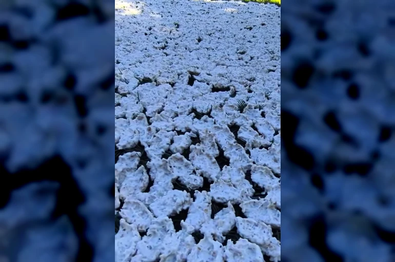 Kahramanmaraş’ta tarhana mesaisi