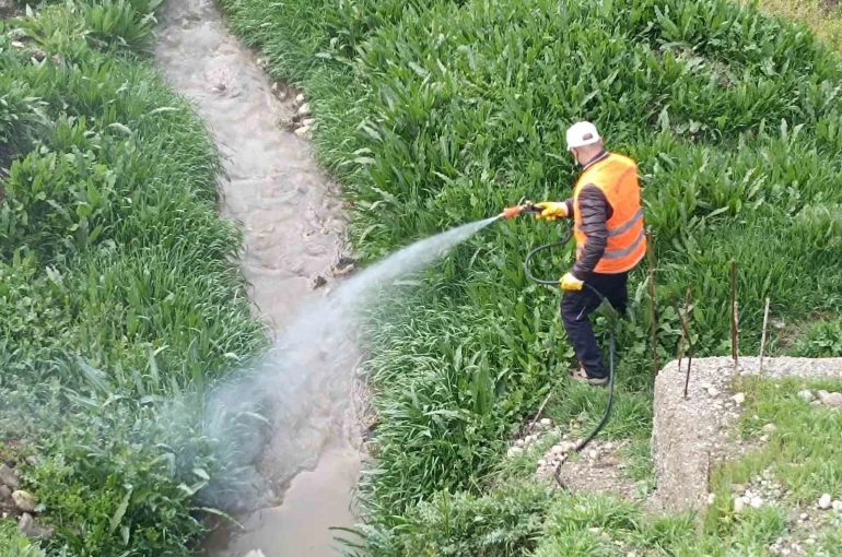 Kahta Belediyesi’nden haşerelere karşı yoğun mücadele 