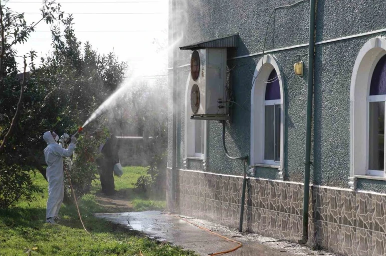 Kahverengi kokarca ile mücadele: 850 hane, 23 kamu alanı ve 623 ahır ilaçlandı 