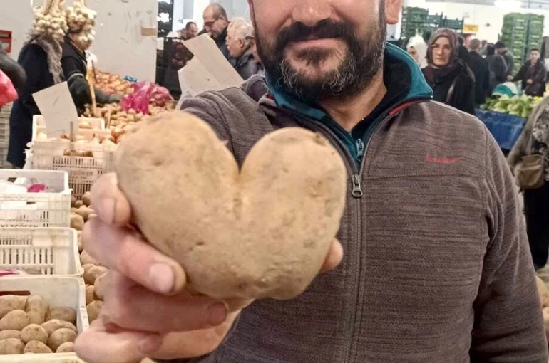 Kalp şeklindeki patates ilgi odağı oldu 