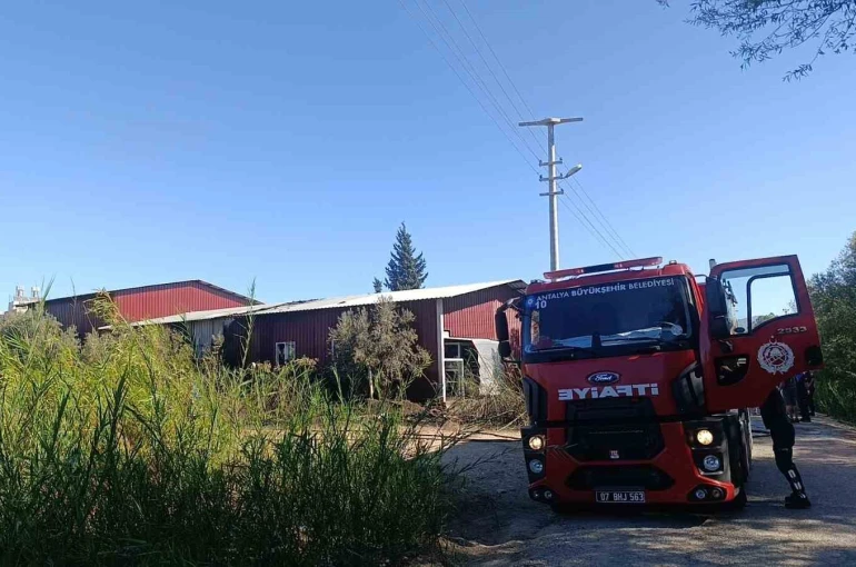 Kamışlık alanda başlayan yangın gıda toptancı deposuna sıçradı