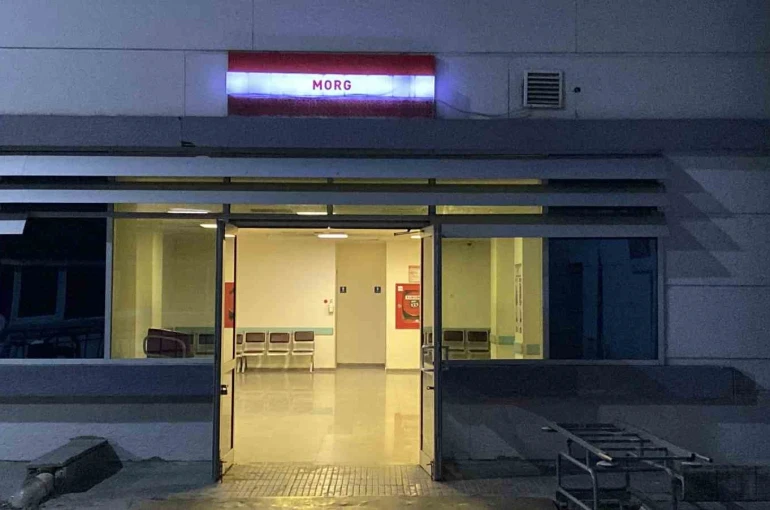 Kan donduran olayda yeni gelişme: Yaşlı adamın kesik başı ormanda bulundu 