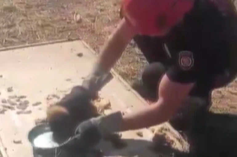 Kanala düşen yavru köpek kurtarıldı 