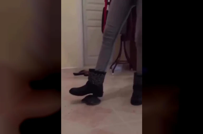 Kaplumbağayı ayağıyla ezen şüpheli gözaltına alındı