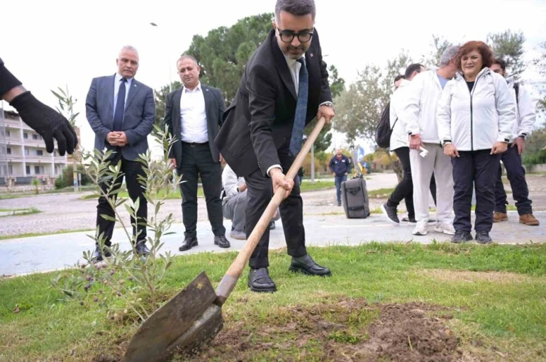 Kar Spor İda Ultra öncesinde zeytin fidanları toprakla buluştu 