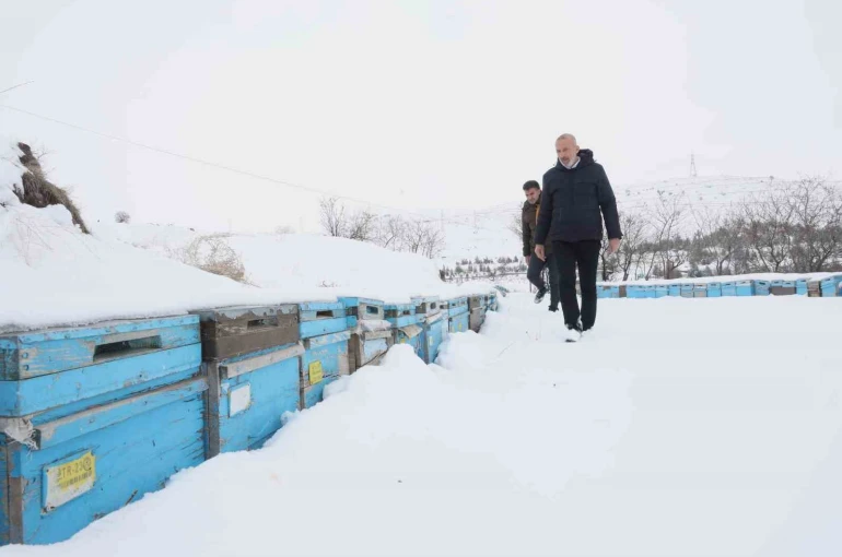 Kar yağışı, koloni kayıplarını ve hastalıkları minimuma indirdi: Arıcılar sezonundan ümitli 