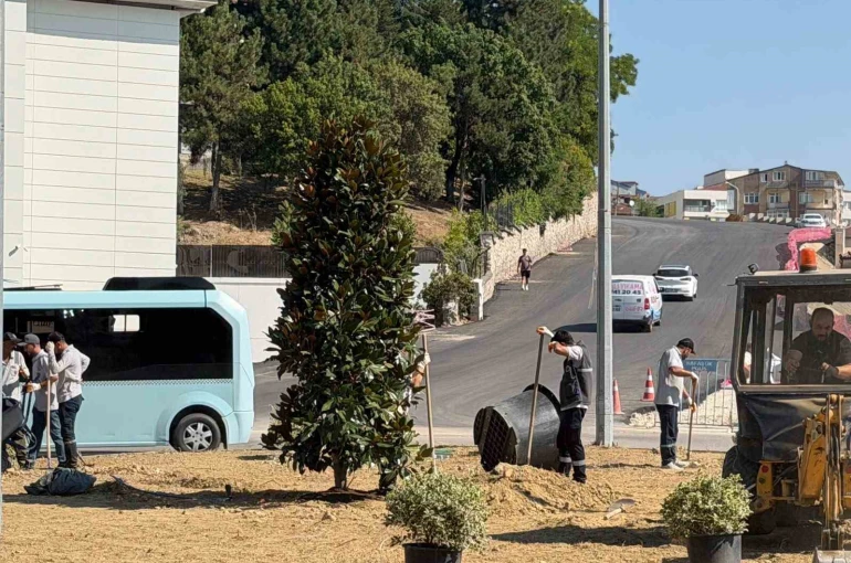 Karabük’te 200 ağaç ve süs bitkisi toprakla buluşuyor