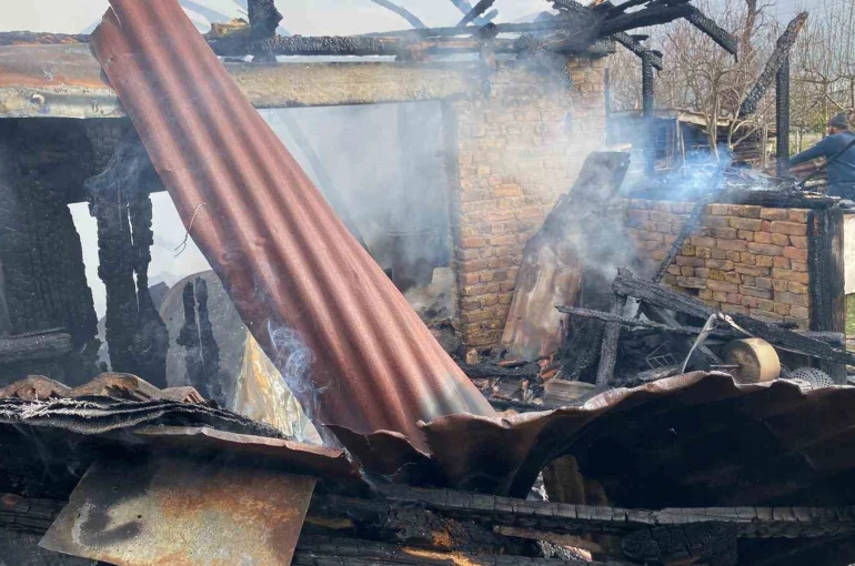 Karabük’te müştemilat yangını: 2 köpek yavrusu telef oldu 