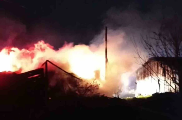Karabük’te samanlık ve odunluk yangında küle döndü