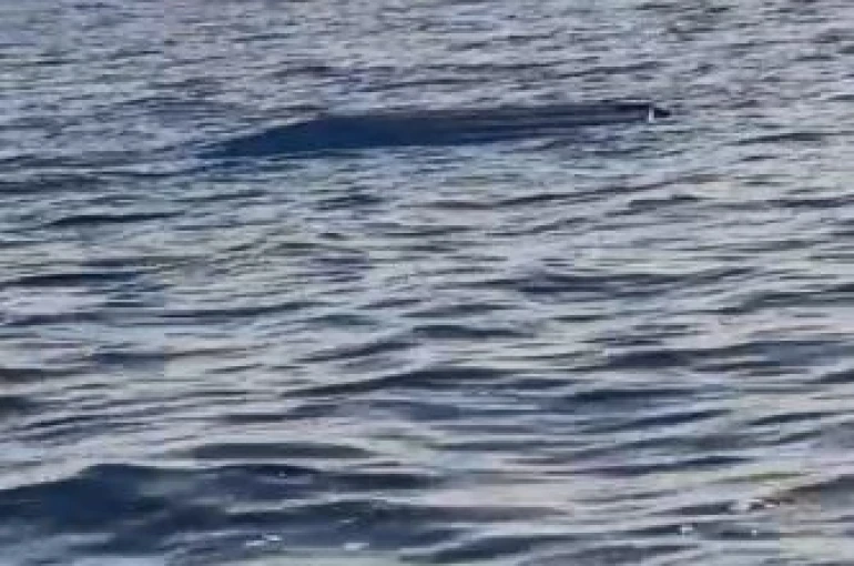 Karadeniz kıyılarında bir insansız deniz aracı şüphesi daha 