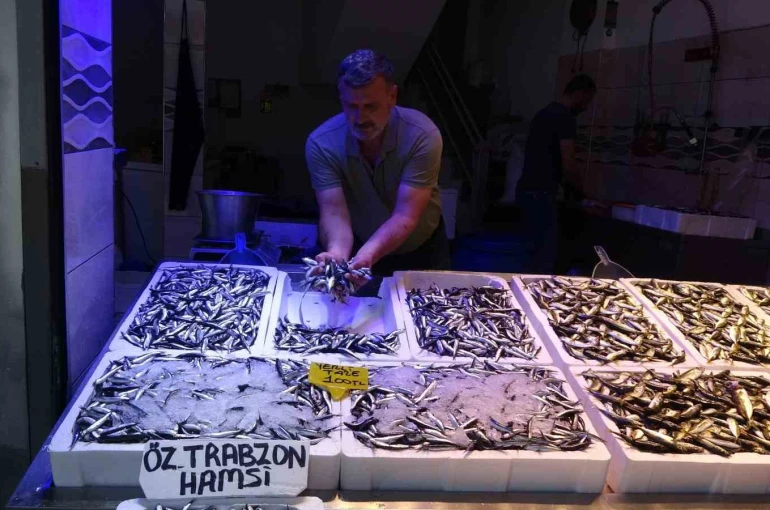 Karadeniz’de avı bollaştı, hamsi fiyatı 100 TL’ye düştü 