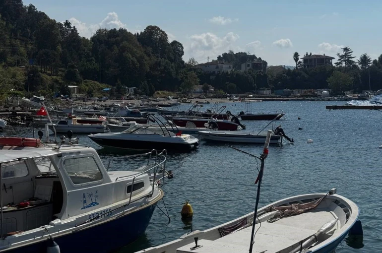 Karadeniz’de bu yıl hamsi beklentisi büyük 