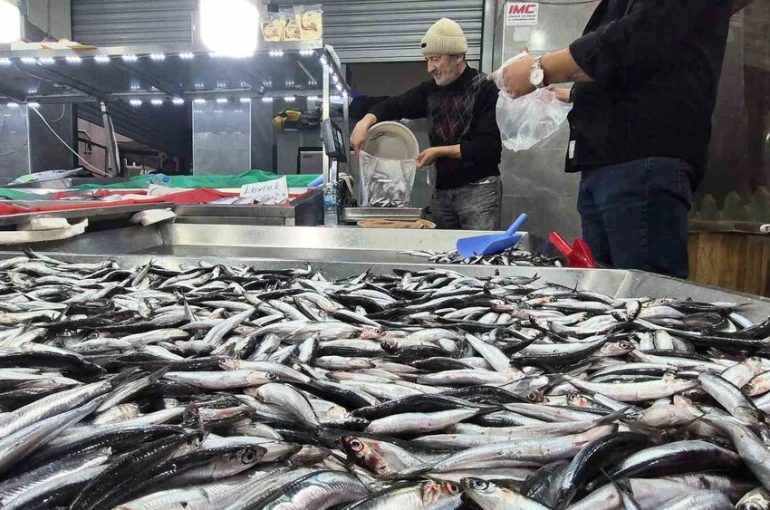 Karadeniz’de hamsi bollaştı, Bartın’da kilosu 50TL’ye düştü 