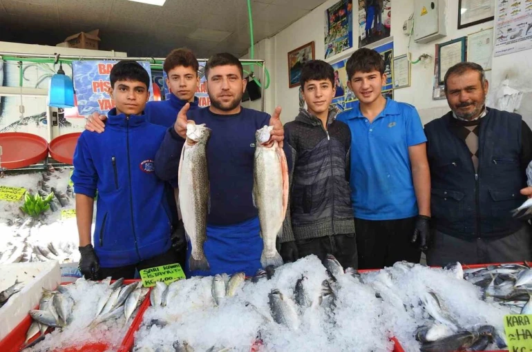 Karadeniz’deki bolluk balık fiyatlarını düşürdü: Kilis’te hamsi 100 liraya indi 