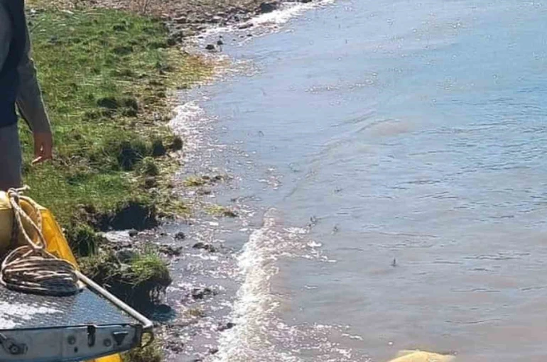 Karakoçan’da göletlere yavru balıklar bırakıldı 