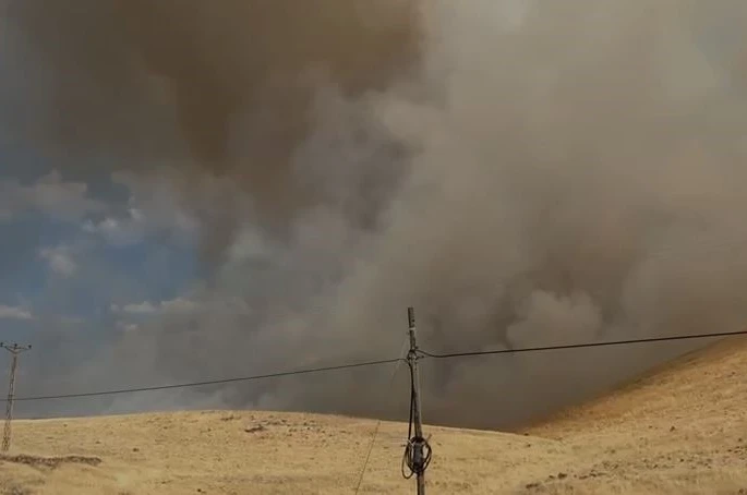 Karakoçan’da örtü yangını